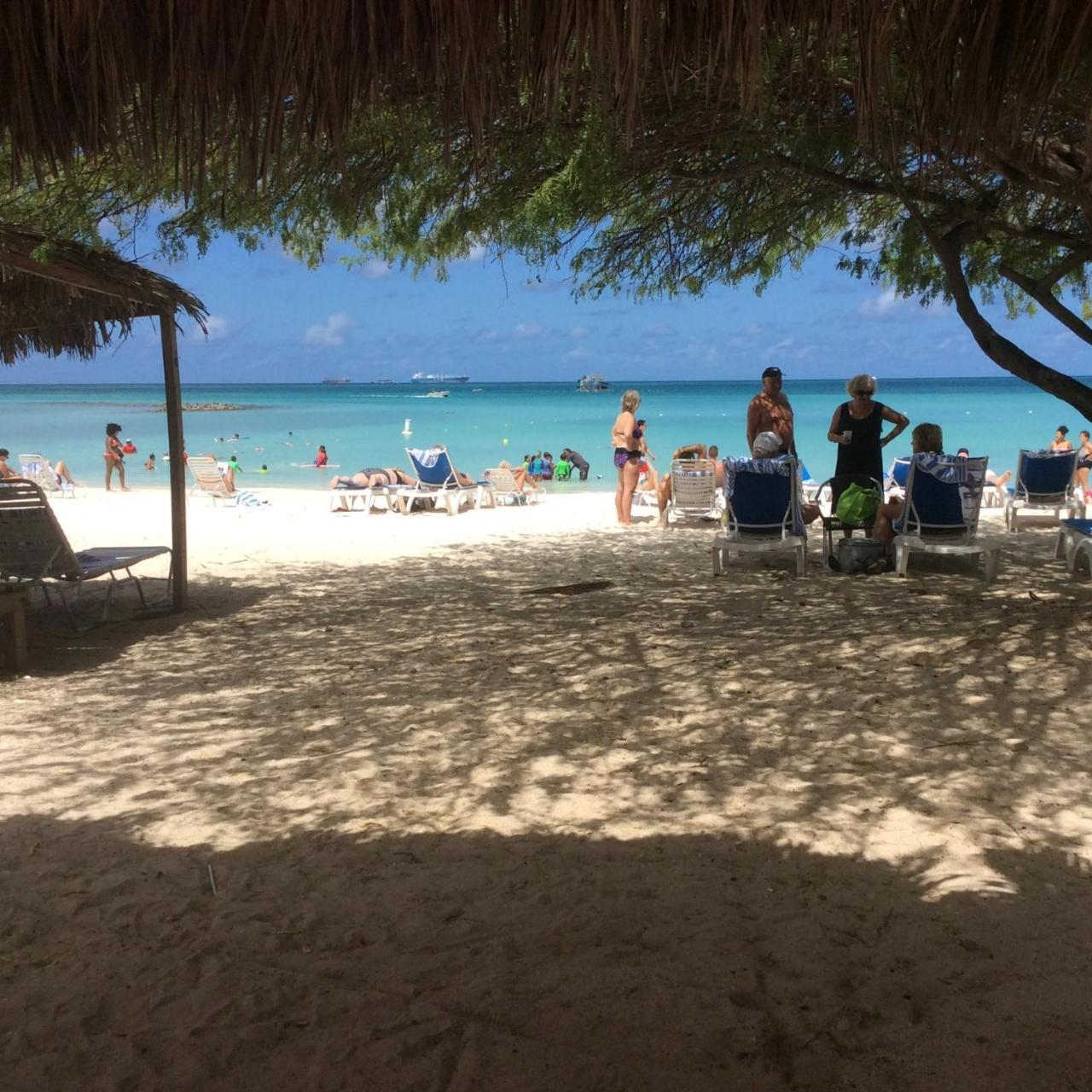 Divi Aruba Phoenix Resort 棕榈滩 外观 照片